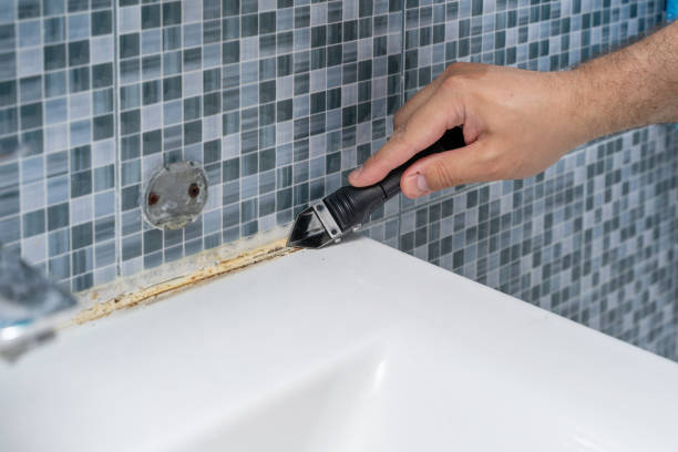 Best Mold Cleaning Services  in Westwood Shores, TX